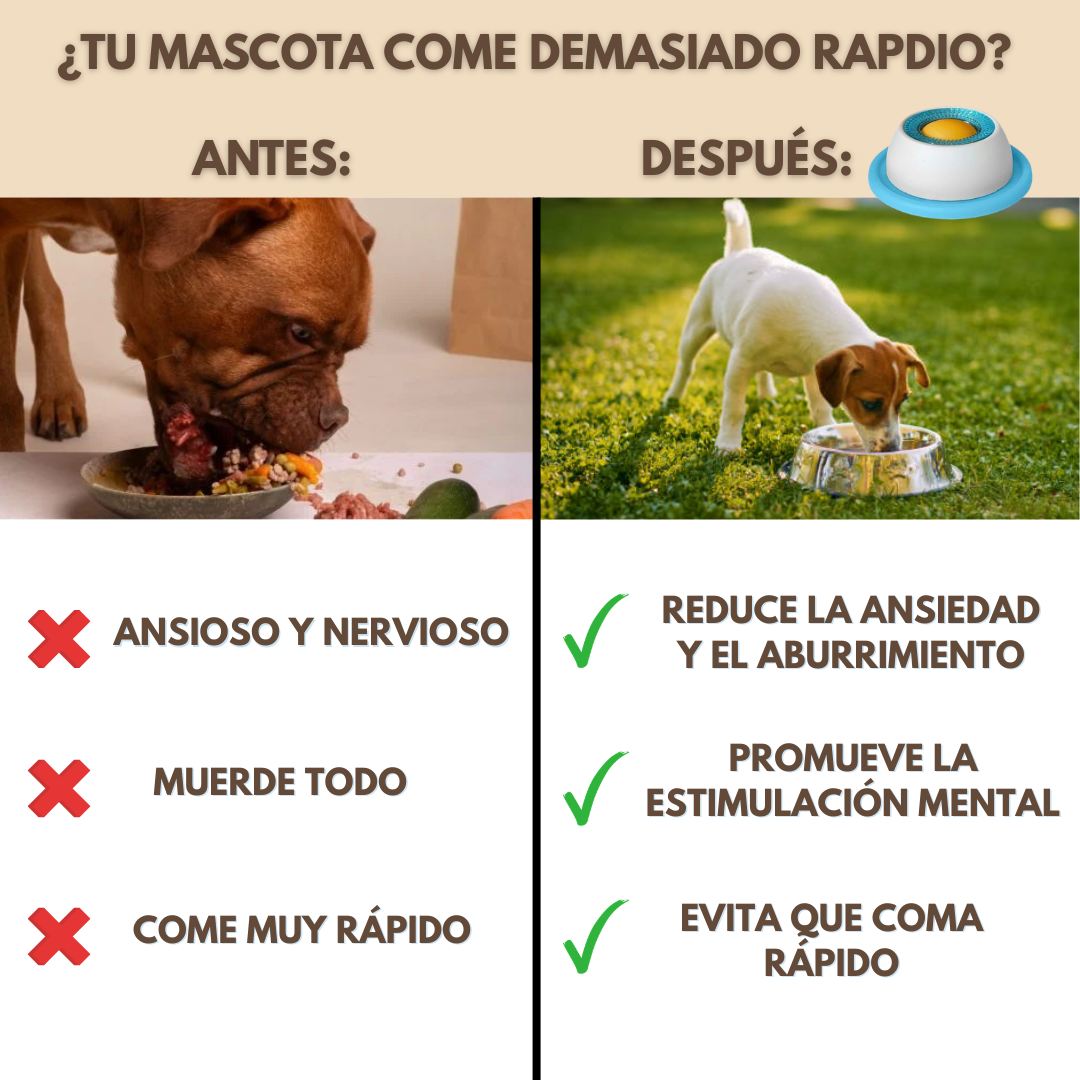 Plato Antiestrés